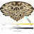 Golu 40inches Big Flower Crystal Ceiling Light for Living Room Dimmable Crystal Chandeliers 3000-6000K