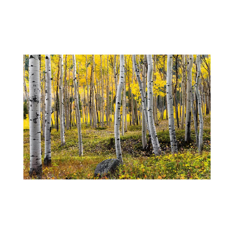 Golden Times - Rockies by Stefan Hefele - Wrapped Canvas Print, 20.32 cm H x 30.48 cm W