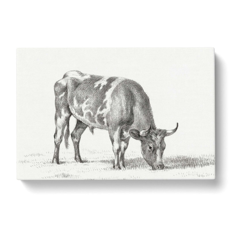 Grazing Bull by Jean Bernard - Wrapped Canvas Drawing - Wrapped Canvas, 40cm H x 60cm W x 3cm D