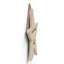 Witch Home Is Where You Wooden Star Plaque