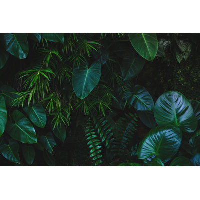 Jungle Leaves Background by Jasmina007 - Wrapped Canvas Print