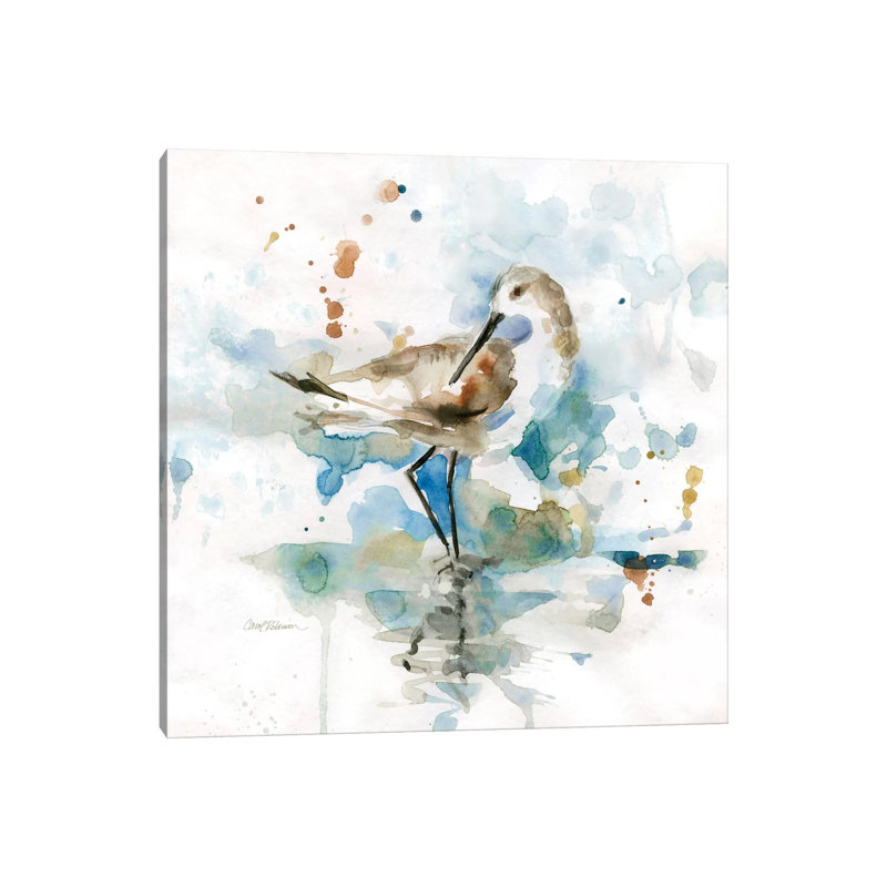 Palm Beach Piper by Carol Robinson - Wrapped Canvas Print, 45.72 cm H x 45.72 cm W x 1.91 cm D