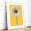 Golden Daisy Botanical - Print-637789398-637789396
