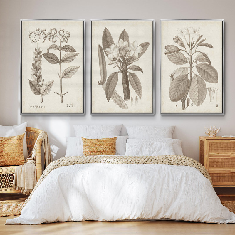 Antique sépia botanicals iv - 3 pièces d'une seule photo encadrée sur toile, H 27 po x l 54 po, Argent