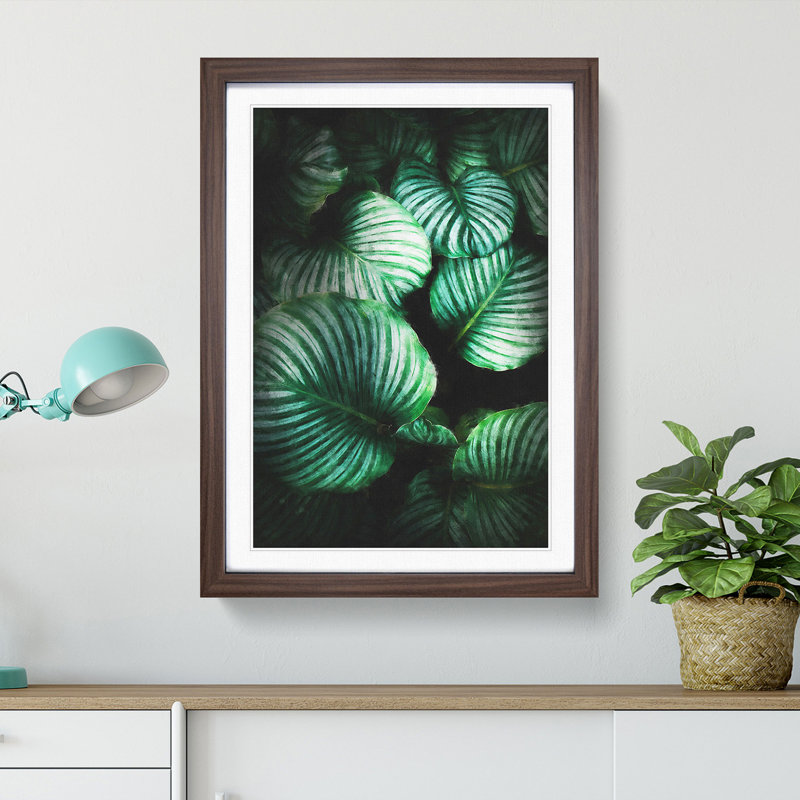 Gathered Green Plant Leaves - Picture Frame Painting Print, 45cm H x 33cm W x 2cm D, Walnut Framed