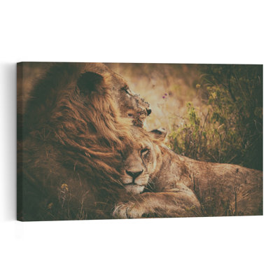 Lion Couple Embrace Contemporary Cat Lion Nature Wildlife Wall Art Print 1 Piece Wrapped Canvas Wall Art