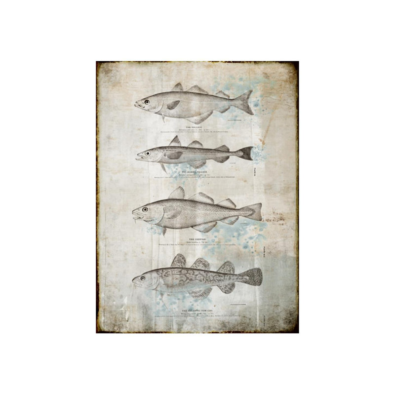 Fin II Print by Chelsea Art Studio, 63" H x 47" W x 1.5" D, Outdoor