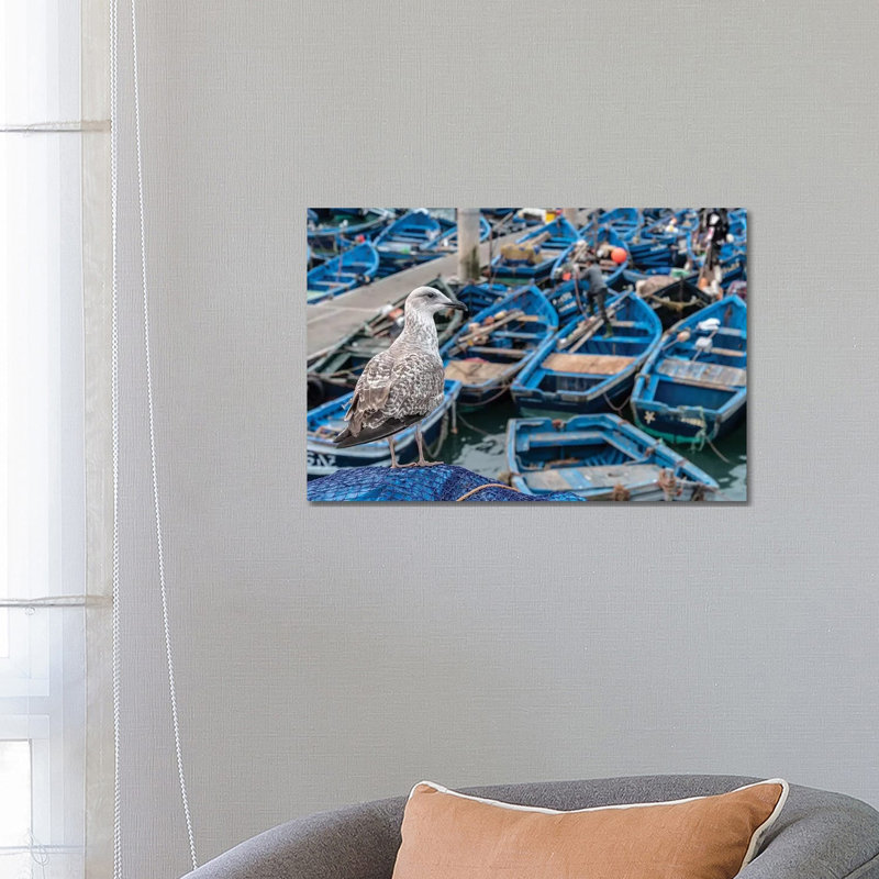 Africa, Morocco, Essaouira. Close-up Of Seagull And Moored Boats. by Jaynes Gallery - Wrapped Canvas Print