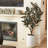 TREE RUBBER POT 5FT