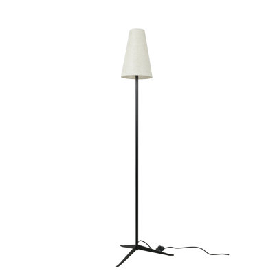63'' Novelty Floor Lamp