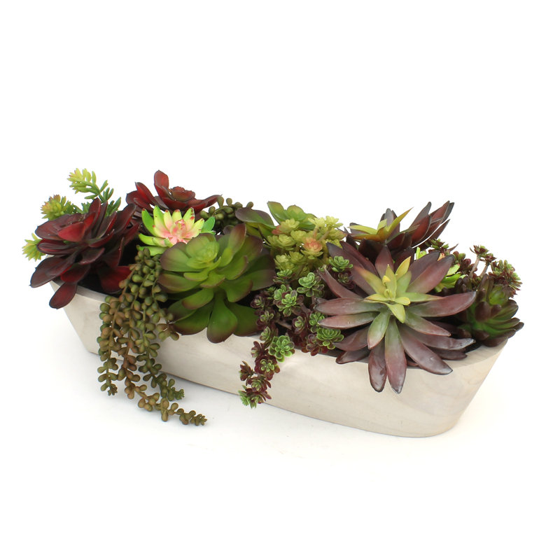 7'' Faux Succulent in Wood Planter