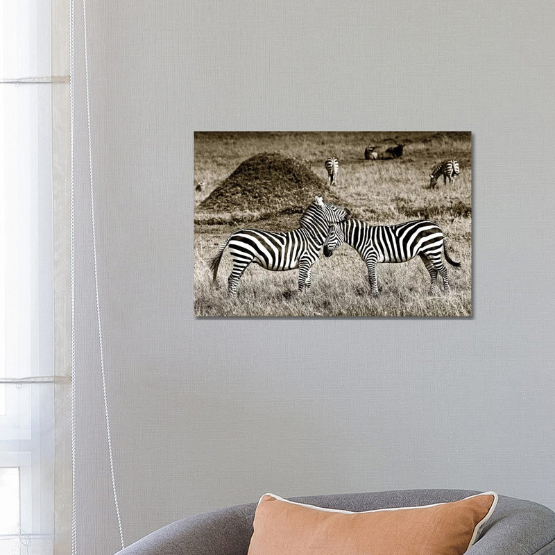 Cuddly Zebras by Klaus Tiedge - Wrapped Canvas Print, 66.04 cm H x 45.72 cm W x 3.175 cm D