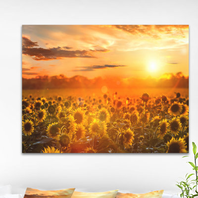 " Yellow Sunset Over Sunflowers "