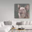 «Teri the Christmas Pig», reproduction d'art sur toile tendue-27491604