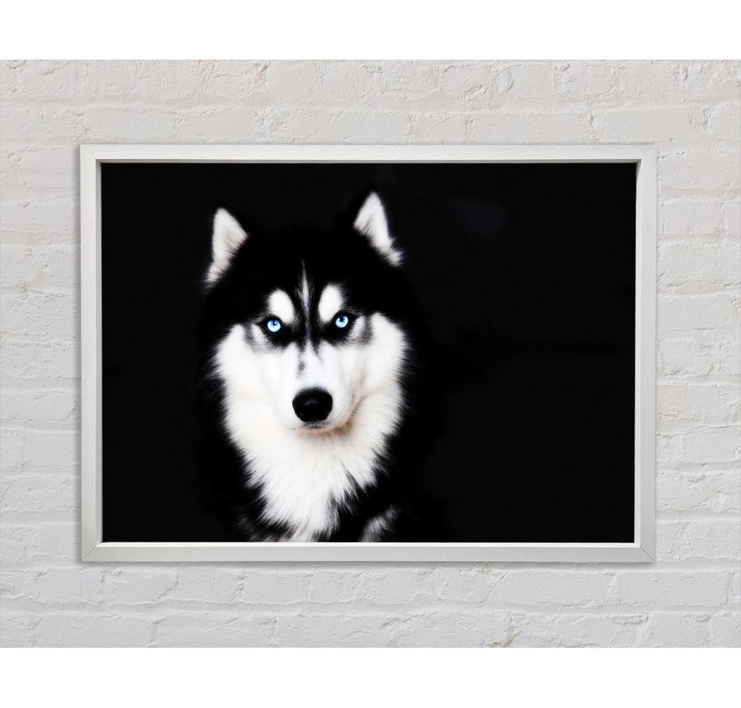 Husky Hund Liebe - Einzelner Bilderrahmen Kunstdrucke auf Leinwand