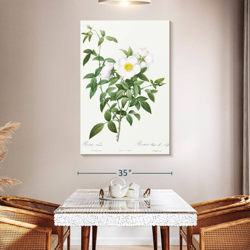 Harnek Rosa Nivea, 51" H x 34" W