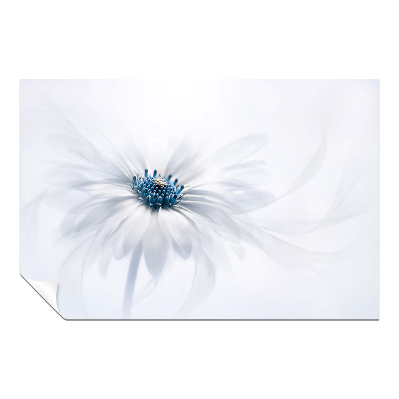 Daisy Flower Blue Pollen - No Frame Print, 61cm H x 41cm W