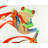 Red-eyed Frog Blue Animal Placemat | Polyester Home Decor