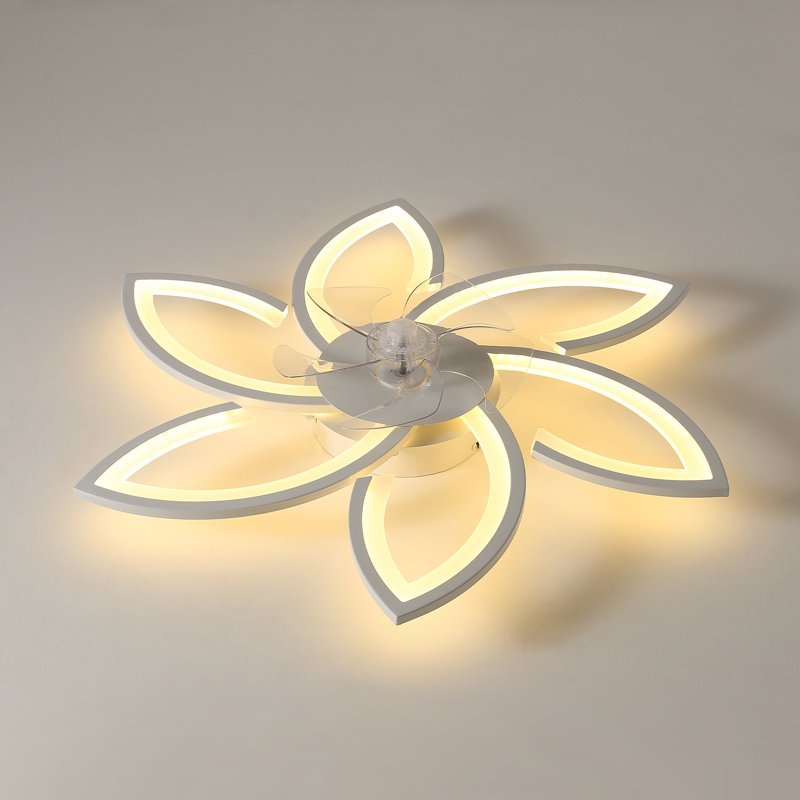 Ceiling Fan