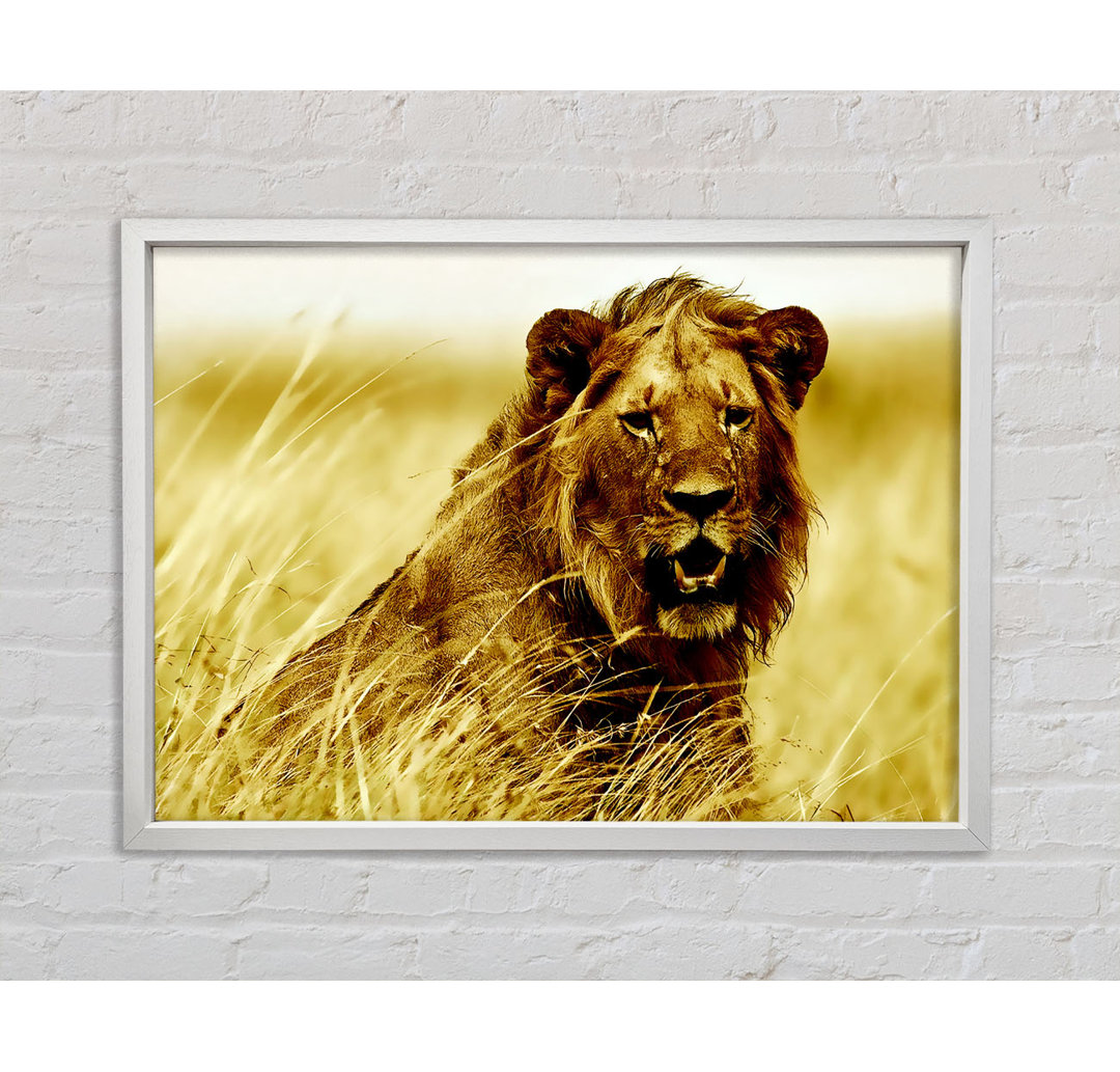 Lion Watching Out For Dinner - Einzelner Bilderrahmen Kunstdrucke auf Leinwand