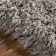 Petrey Indoor Rug