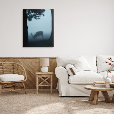 Silhouette de cerf entre les arbres et la faune de la forêt brumeuse par Denise Brown - photographie