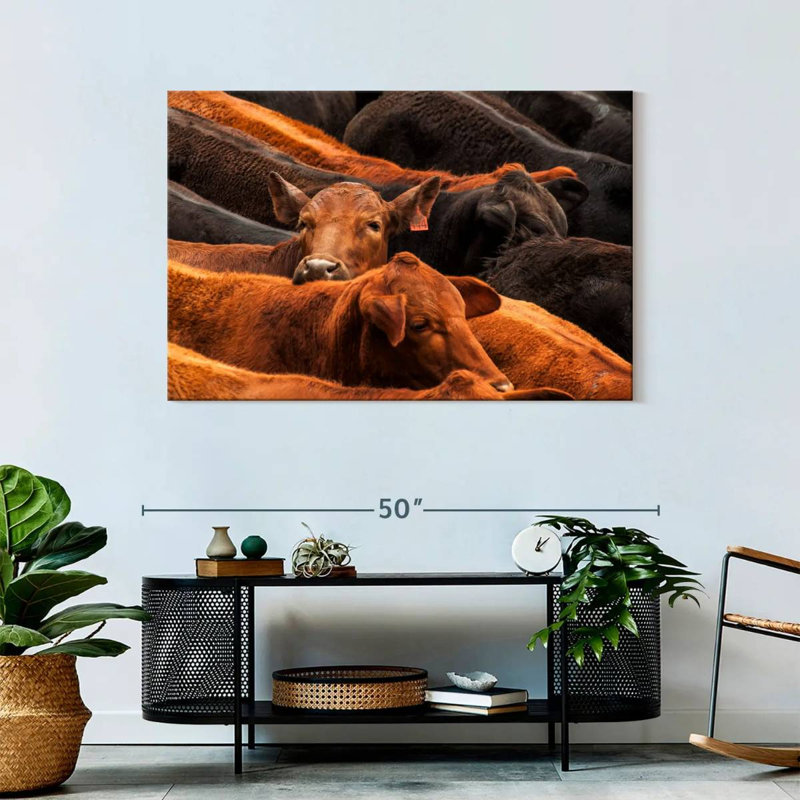 Brampt Beef Cattle, 30" H x 45" W
