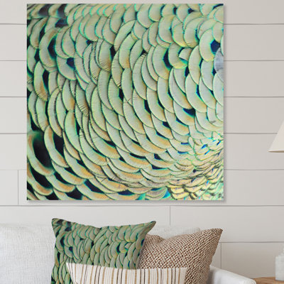 «Green Peacock Feathers III», reproduction d'art sur toile