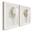 «Farmhouse Pressed Flower I», ensemble de 2 impressions-1472801473-1472801472
