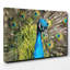 Wrapped Canvas Painting-19091253