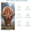 Serviette de plage en microfibre à séchage rapide Highland Cow, 60 x 80 po