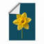 Golden Daffodil Botanical - Framed Print-54612672-54612673