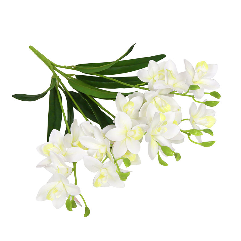 Tige d'orchidée, Blanc crème