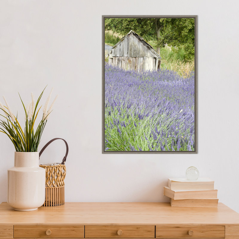Reproduction de photo sur toile, "lavande et une petite remise" par Janell Davidson Danita delimont