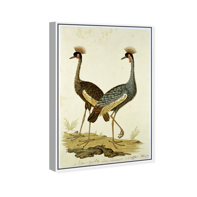 Animaux, couronnes et grues - Peinture sur toile, Cadre blanc, H 15 po x l 10 po