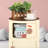 Kywaun 3 Drawer Stackable Drawer-19948391