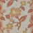Corail
