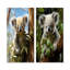 «Realistic Koala Eucalyptus Observer II», ensemble de 2 reproductions d'art mural Koala-927976702-927976697