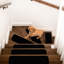 Tapis d'escalier Arturas-1490674377