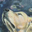 Dreaming Lab - Wrapped Canvas Painting-1039081148