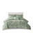 Comforter Set With Throw Pillow