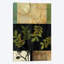 « tall trail », impression sur toile-31856281-73197759-73198034