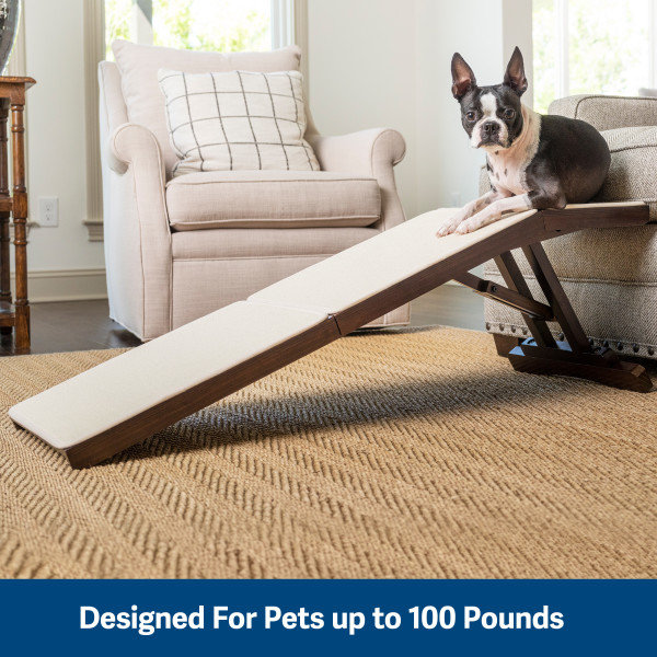 Archie & Oscar™ CozyUp Sofa Ramp, Espresso