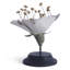 Plant Model