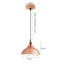 Reiner 1 - Light Bronze Dome Pendant