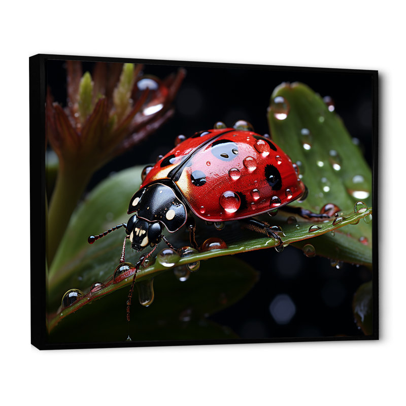«Rainy Ladybugs Lullaby I», reproduction sur toile, H 16 po x l 32 po x P 1 po, Cadre flottant noir