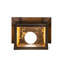 1 - Light Flush Mounted Sconce