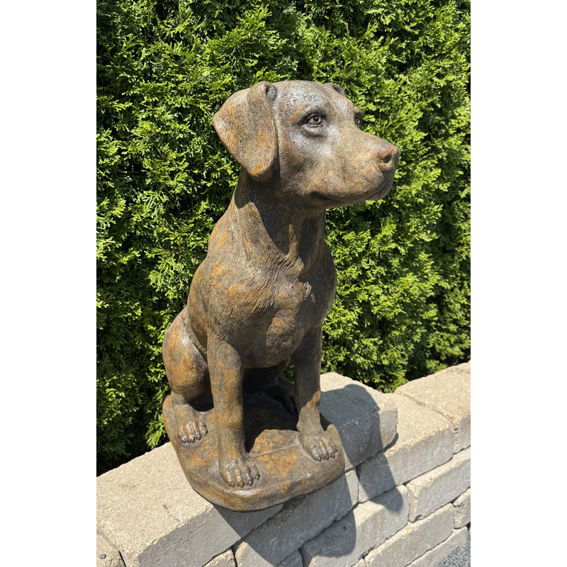 Labrador