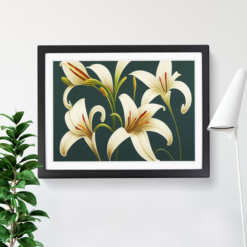 Collection of Lily Flowers Vol.2 - Framed Print, Black, 46cm H x 64cm W x 2cm D