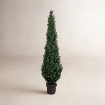 Yarbro Cedar Topiary in Pot